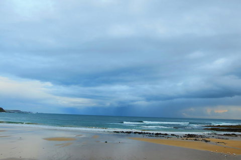 Phillip Island Penguin Parade Day Trip With Koala Park - Attractions Melbourne 3