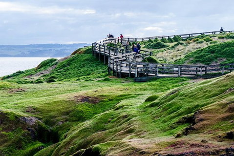 Phillip Island Penguin Parade Day Trip With Koala Park - Attractions Melbourne 11