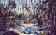 Melbourne Snow Trip To Lake Mountain Resort With Chocolates And Waterfalls - thumb 12