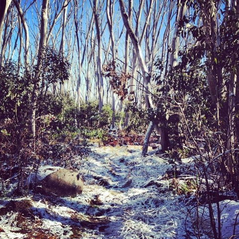 Melbourne Snow Trip To Lake Mountain Resort With Chocolates And Waterfalls - Attractions Melbourne 12