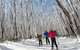Melbourne Snow Trip To Lake Mountain Resort With Chocolates And Waterfalls - thumb 29