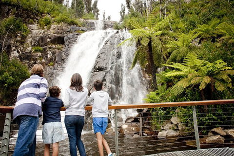 Melbourne Snow Trip To Lake Mountain Resort With Chocolates And Waterfalls - Attractions Melbourne 22