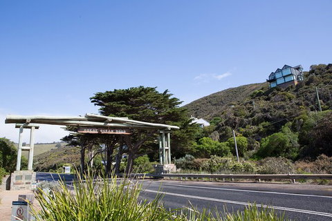 Private Great Ocean Road - The Ultimate Aussie Adventure - Attractions Melbourne 5
