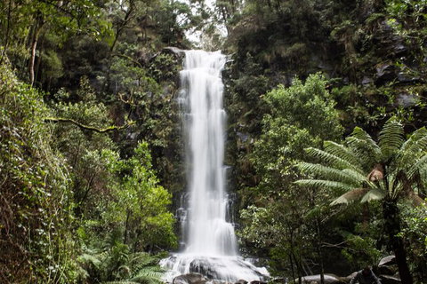 Private Great Ocean Road - The Ultimate Aussie Adventure - Attractions Melbourne 7