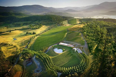 Yarra Valley - Wineries & Gin Distillery Tour - Attractions Melbourne 0
