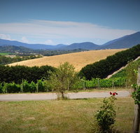 Romantic Private Yarra Valley Day Trip for Two from Melbourne
