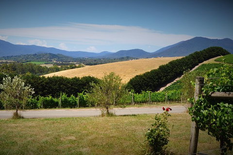 Romantic Private Yarra Valley Day Trip For Two From Melbourne - Attractions Melbourne 0