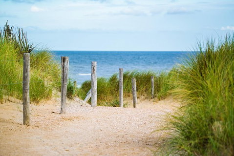 2 Day Exclusively Private Tour Of Phillip Island & The Penguin Parade - Attractions Melbourne 3