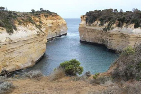 2-Day Great Ocean Road, Mornington Peninsula And Phillip Island Tour - Attractions Melbourne 8