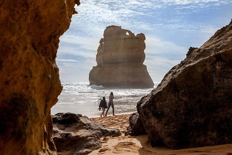 2-Day Great Ocean Road, Mornington Peninsula And Phillip Island Tour - Attractions Melbourne 13