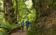 2-Day Great Ocean Road, Mornington Peninsula And Phillip Island Tour - thumb 16