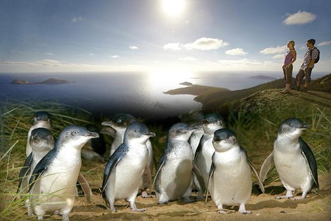 2-Day Phillip Island And Wilsons Promontory Tour From Melbourne - Attractions Melbourne 3