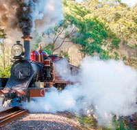 Puffing Billy and Mount Dandenong Private Tour