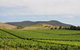 Private Tour To Mount Dandenong And Yarra Valley - thumb 0