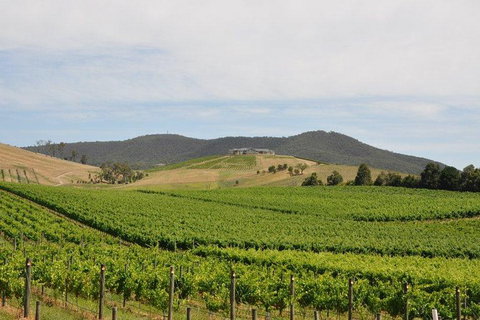 Private Tour To Mount Dandenong And Yarra Valley - Attractions Melbourne 0