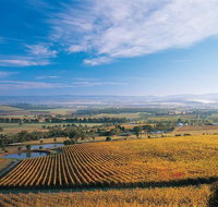 Half Day Yarra Valley Winery Day Trip from Melbourne - Attractions Melbourne