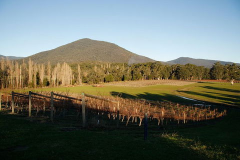 Half Day Yarra Valley Winery Day Trip From Melbourne - Attractions Melbourne 6