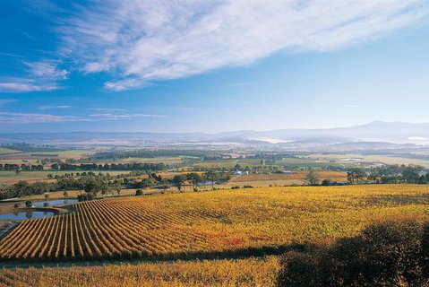 Melbourne City Tour And Half Day Yarra Valley In One Day - Attractions Melbourne 5