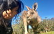 Grampians National Park Day Trip From Melbourne - thumb 1