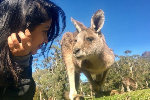 Grampians National Park Day Trip From Melbourne - Attractions Melbourne 1