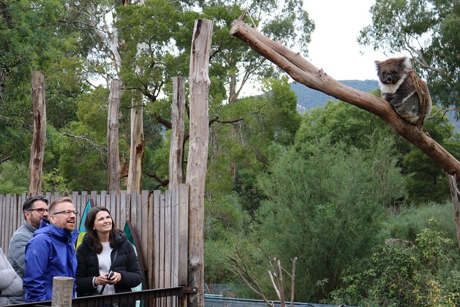 Yarra Valley Wildlife Express Private Tour Melbourne