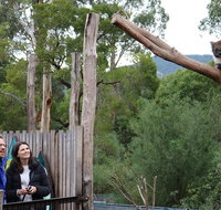 Yarra Valley Wildlife Express Private Tour