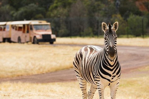 Werribee Open Range Zoo General Admission Ticket - Attractions Melbourne 1