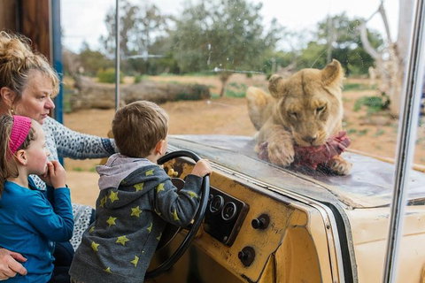 Werribee Open Range Zoo General Admission Ticket - Attractions Melbourne 3