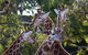 Werribee Open Range Zoo General Admission Ticket - thumb 6