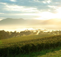 Yarra Valley Private Tour including Healesville Sanctuary and Wineries