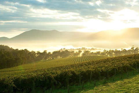 Yarra Valley Private Tour Including Healesville Sanctuary And Wineries - Attractions Melbourne 0
