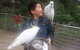 1-Day Custom Private Tour From Melbourne - thumb 1