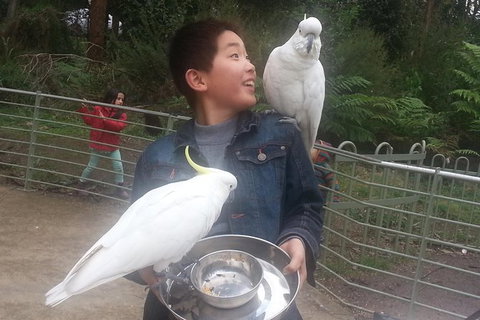 1-Day Custom Private Tour From Melbourne - Attractions Melbourne 1