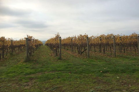 Customized Private Winery Day Tour In Mornington Peninsula At Your Own Choices - Attractions Melbourne 1