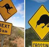 Aroha Tangata Australia and New Zealand 20 day
