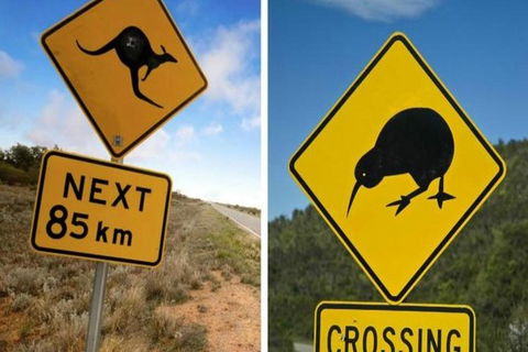 Aroha Tangata Australia And New Zealand 20 Day - Attractions Melbourne 0
