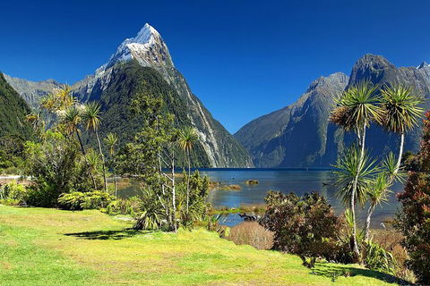 Aroha Tangata Australia And New Zealand 20 Day - Attractions Melbourne 1