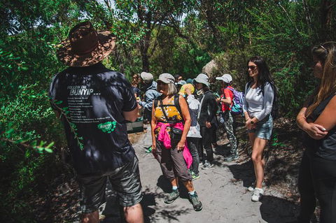 Wilsons Promontory Day Trip From Melbourne - Attractions Melbourne 1