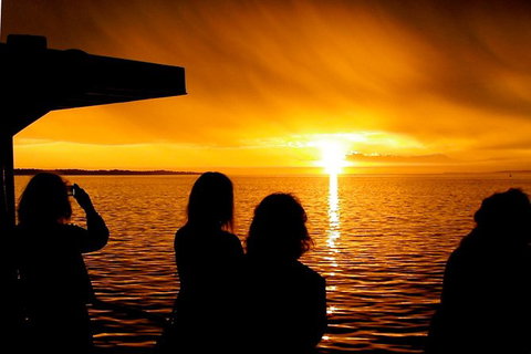 Phillip Island Twilight Cruise - Attractions Melbourne 1