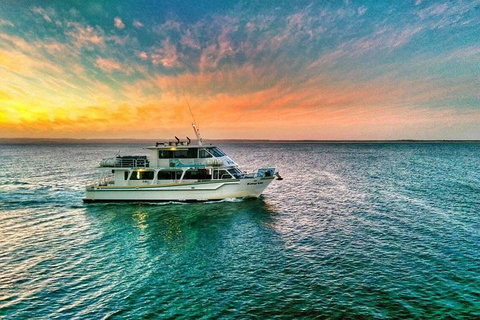 Phillip Island Twilight Cruise - Attractions Melbourne 3