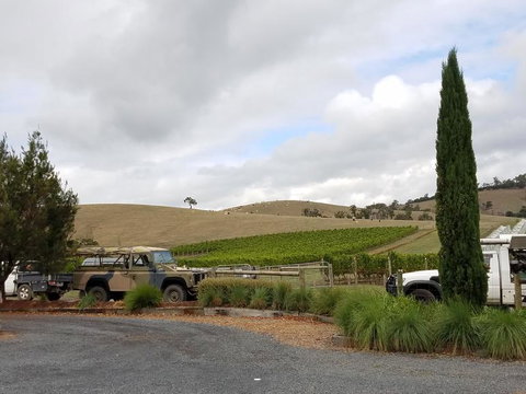 Private Tour: Yarra Valley Wineries With Wine Tastings - Attractions Melbourne 3