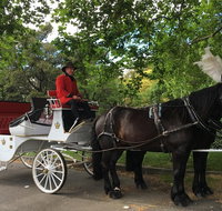 Melbourne Horse Drawn Carriage Garden Highlights Tour