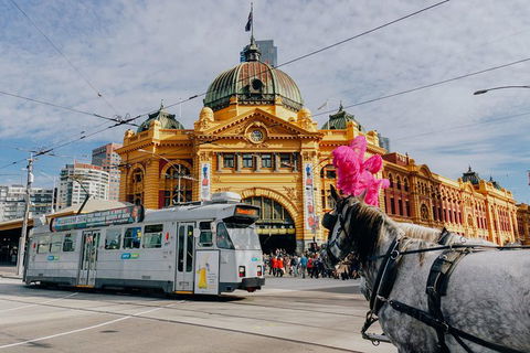 A Full Day In Melbourne With A Local: Private & Personalized - Attractions Melbourne 9