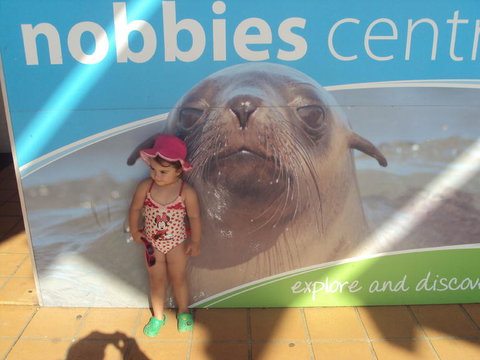 Phillip Island 3 Park Pass: Penguin Parade, Koala Conservation Centre And Penguin Parade, Koala ConservationHeritage Farm - Attractions Melbourne 3