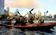 Melbourne Sunset Kayaking Experience With Dinner - thumb 7