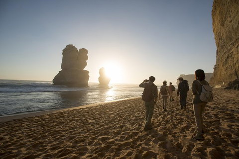 Small-Group Sunset Great Ocean Road Chocolaterie Tour From Melbourne - Attractions Melbourne 12