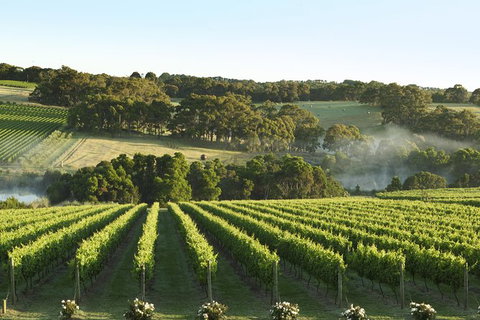 Mornington Peninsula Farm Produce Wine And Cider Tour - Attractions Melbourne 8