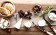 Mornington Peninsula Farm Produce Wine And Cider Tour - thumb 2