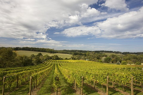 Mornington Peninsula Farm Produce Wine And Cider Tour - Attractions Melbourne 3