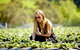 Mornington Peninsula Farm Produce Wine And Cider Tour - thumb 13